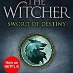 the witcher libro 12