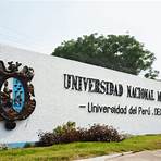 Universidad Nacional Mayor de San Marcos2