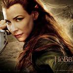 der hobbit 2 dvd2