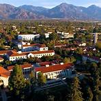 What makes Pomona College unique?4