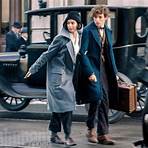 Fantastic Beasts and Where to Find Them filme2