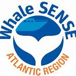 bar harbor whale watch rates4