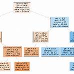 random forest classifier1