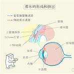 青光眼治療方法2