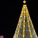 The National Christmas Tree Lighting1