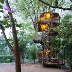treehouse villa4