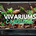 how to build a vivarium1