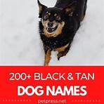 names for dogs that are black and tan2