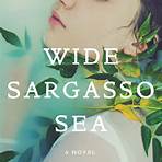 wide sargasso sea book reviews2