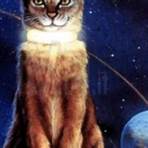 O Gato que veio do Espaço5