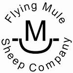flying mule catalog2