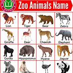 What animals are in the zoo?4