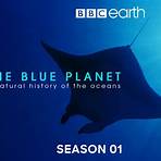 blue planet coral3