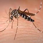 diseases spread by mosquitoes wikipedia in hindi full4