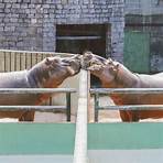 bioparque do rio de janeiro2