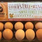 what brands does fox produce & distribute good eggs2