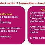 human evolution ppt3