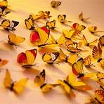 borboleta amarela clara significado5