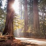 mind over marathon 2022 california state parks camping2