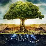 How many tree of life images are there?3