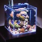 nano aquarium meerwasser1