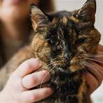 Is Rosie the world's oldest living cat?1