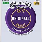 acoustic guitar strings3