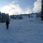 skitour wiedersberger horn almenrausch3