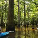 honey island swamp wikipedia free3