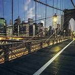 stato di new york4