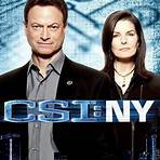 CSI: Crime Scene Investigation5