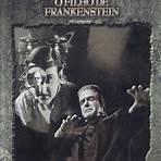 The Ghost of Frankenstein2