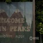 twin peaks staffel 33