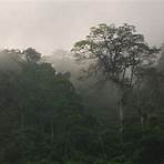 La Ceiba, Honduras4
