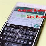 how to reset a blackberry 8250 phones instructions pdf file1
