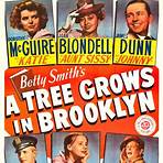 A Tree Grows in Brooklyn movie2