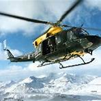 where is the defence helicopter flying school based on the first year1