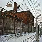 German Concentration Camps Factual Survey1