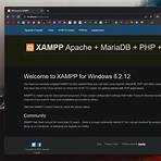 xampp install windows 113