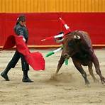 plaza de toros bullfight schedule4