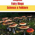 Where can I find a fairy ring?1