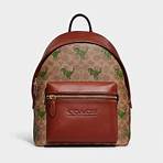 coach handbags on sale4