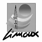 web tv limoux2