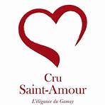 saint amour vins beaujolais1