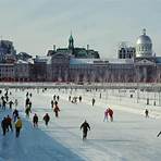 what are some facts about montreal toronto2