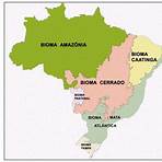 mapa geografico do brasil4