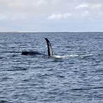 morgenschweis walvis bay namibia3