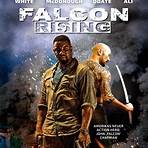 Falcon Rising2