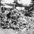 april 29 1945 dachau incident2