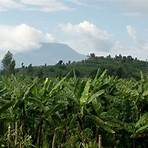 Republik Kongo wikipedia3
